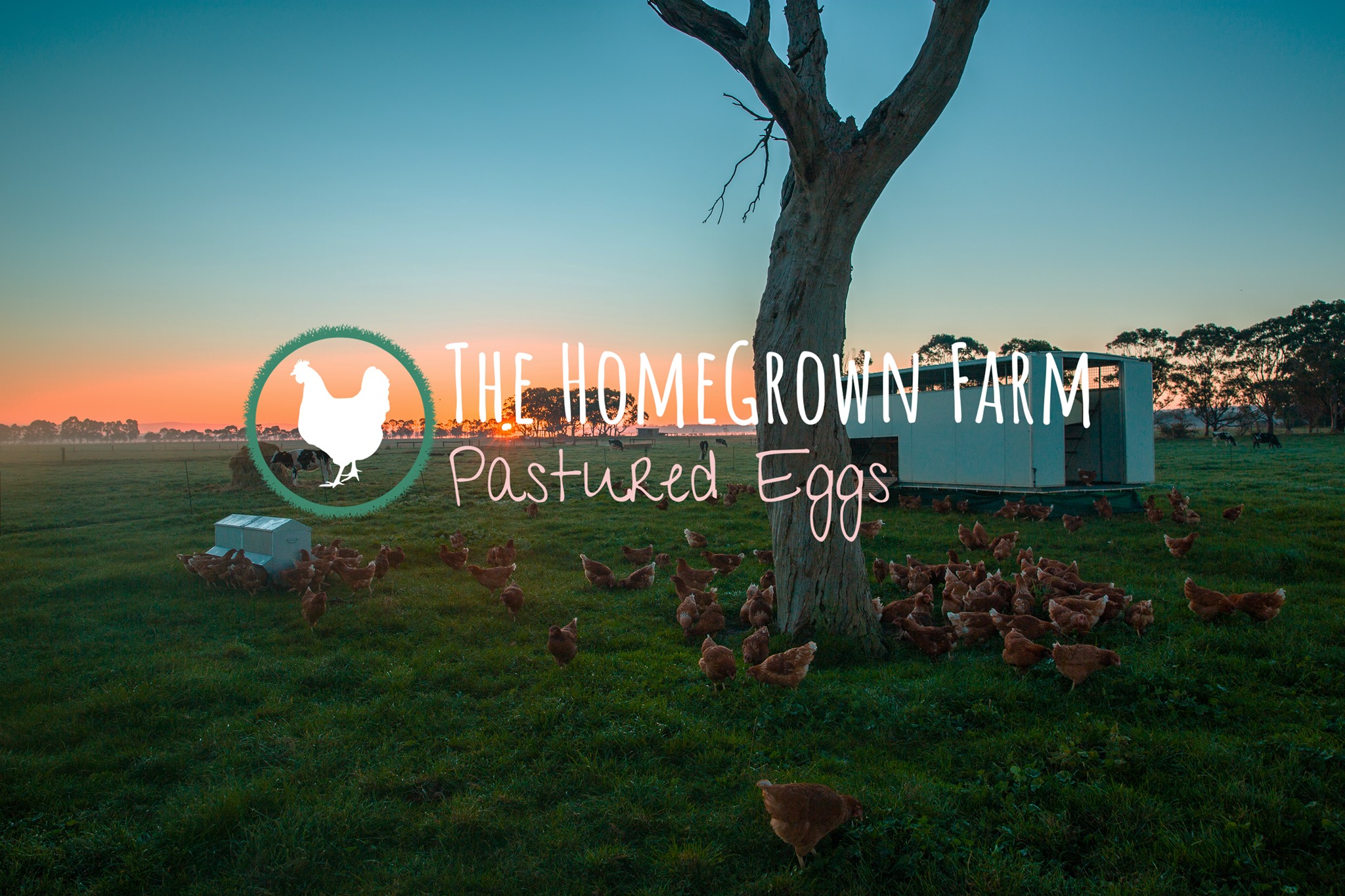 The HomeGrown Farm